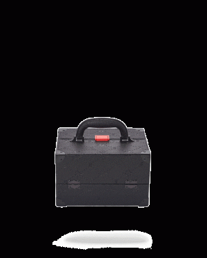 247 JEWELRY CASE