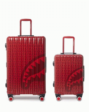 VENI VIDI VICI LUGGAGE