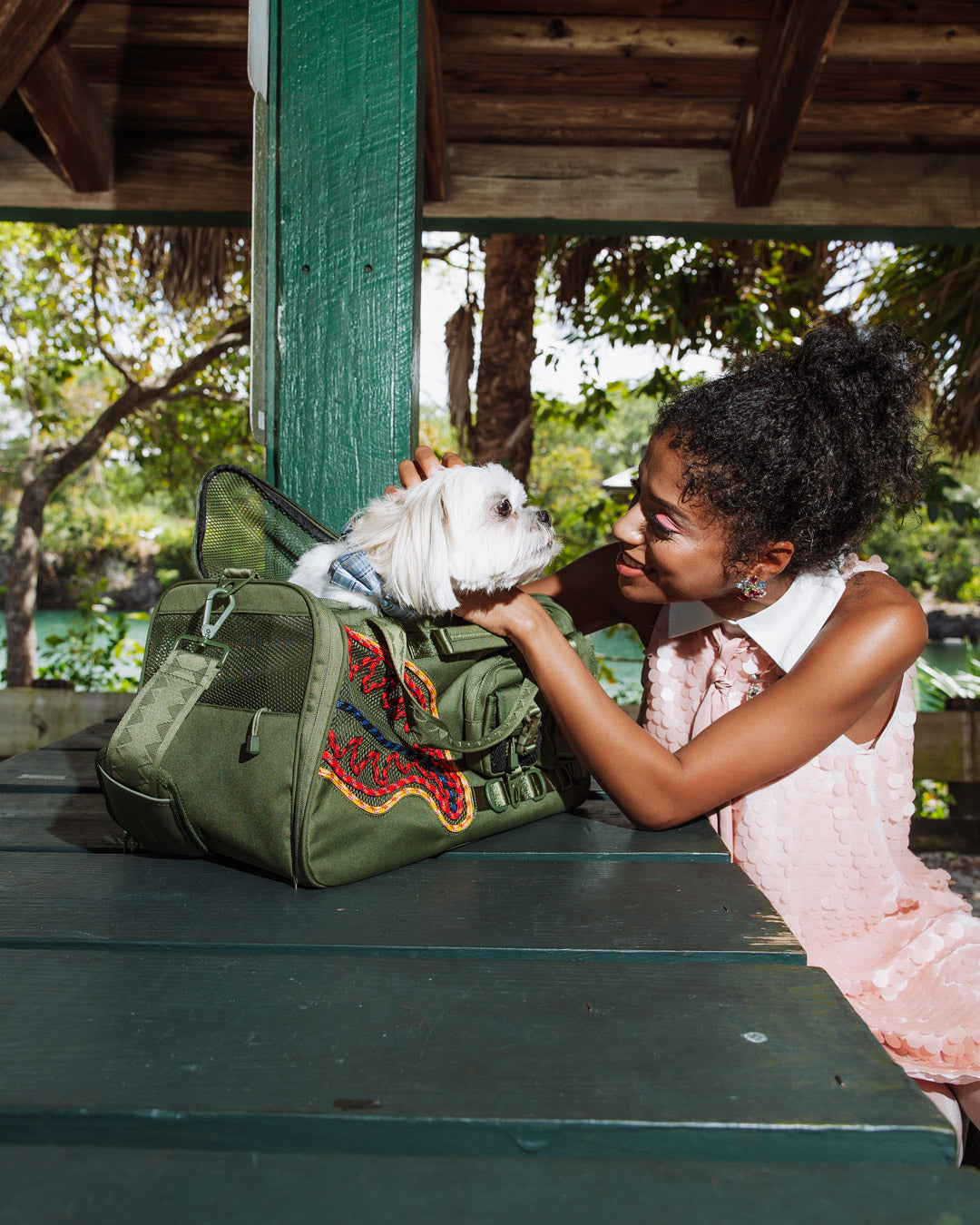 WONT STOP TILL THE TOP PET CARRIER - Image 2