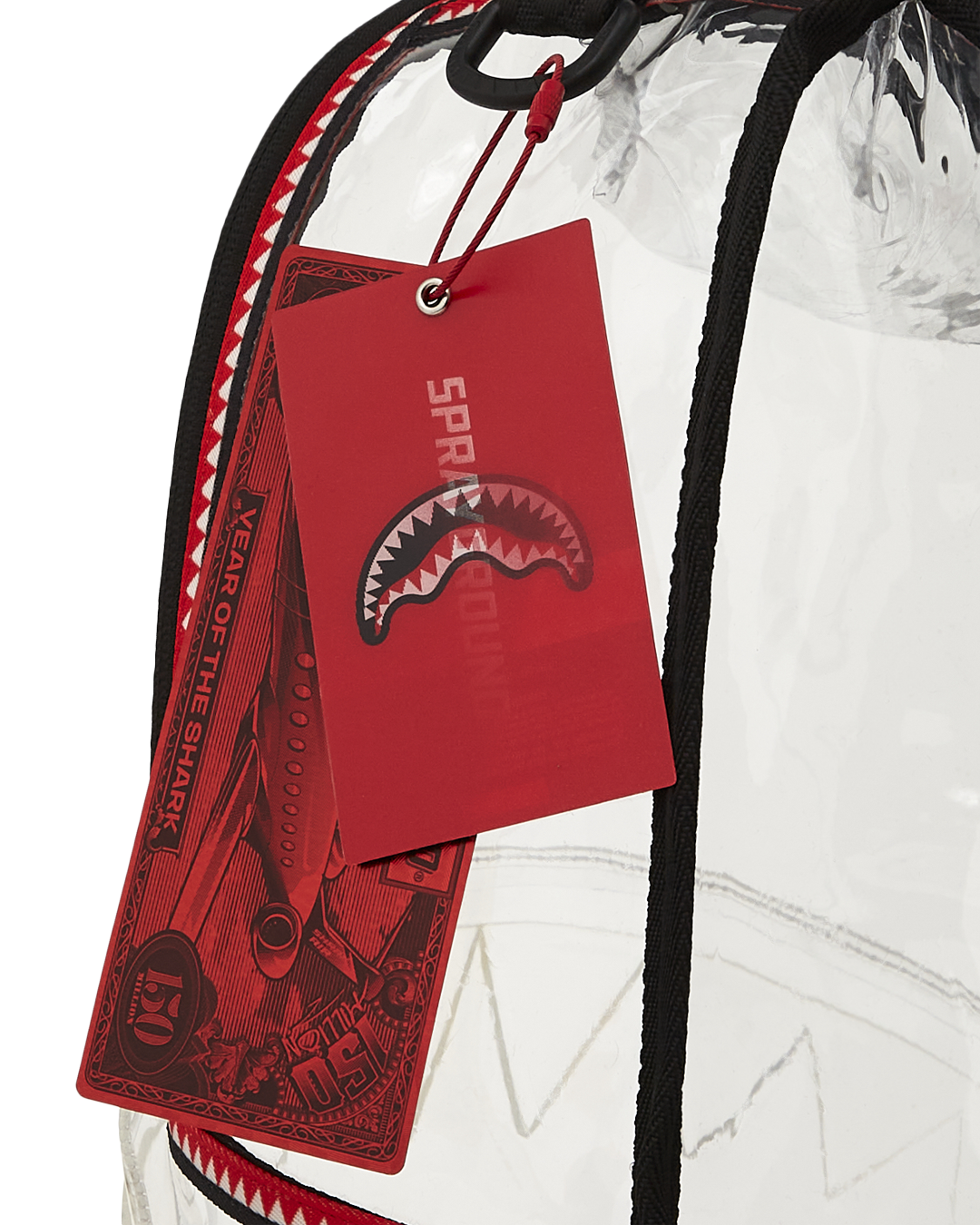 100 CLEAR BACKPACK SHARK - Image 15