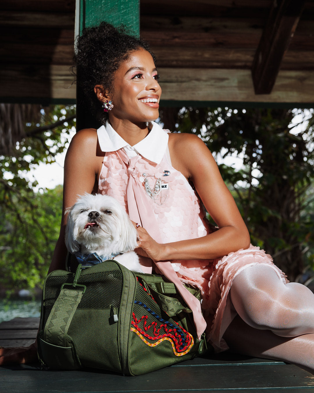 WONT STOP TILL THE TOP PET CARRIER - Image 6