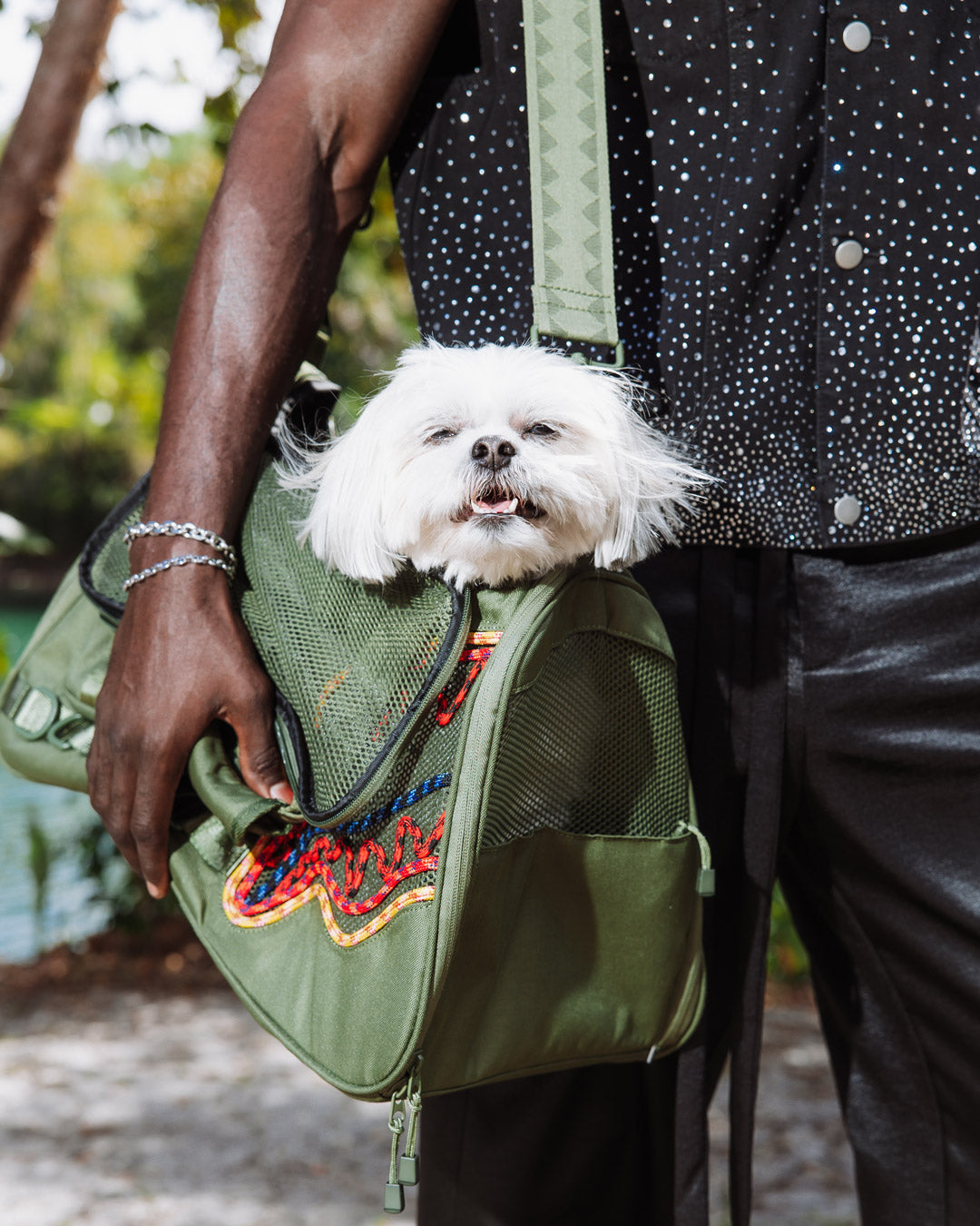 WONT STOP TILL THE TOP PET CARRIER - Image 10