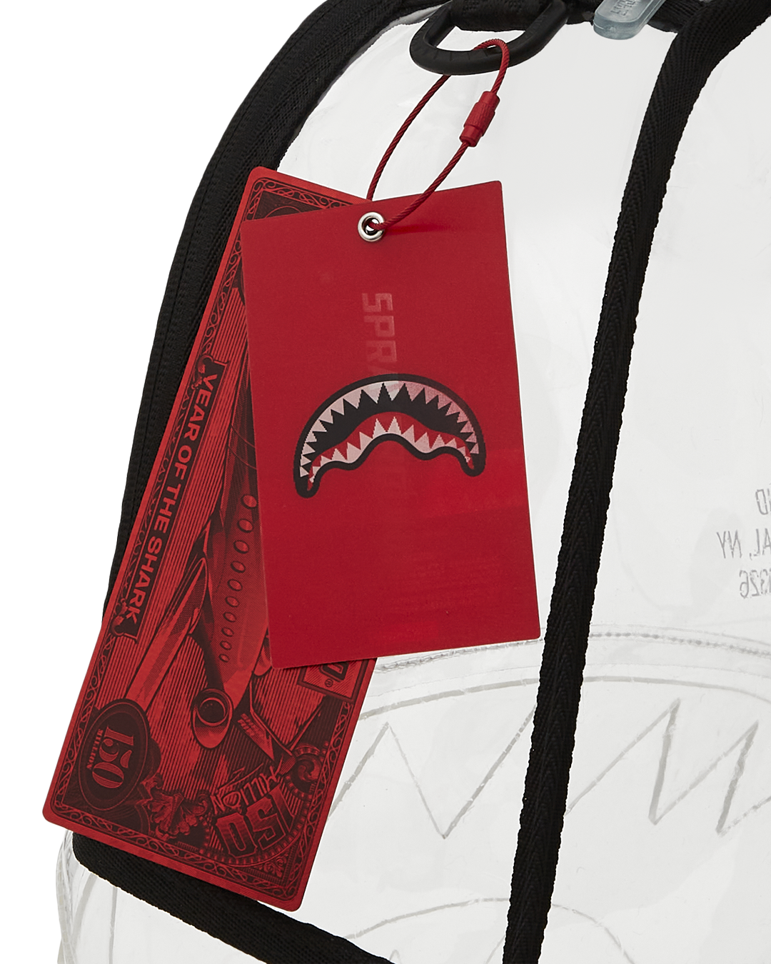100 CLEAR BACKPACK - SHARK CENTRAL - Image 14